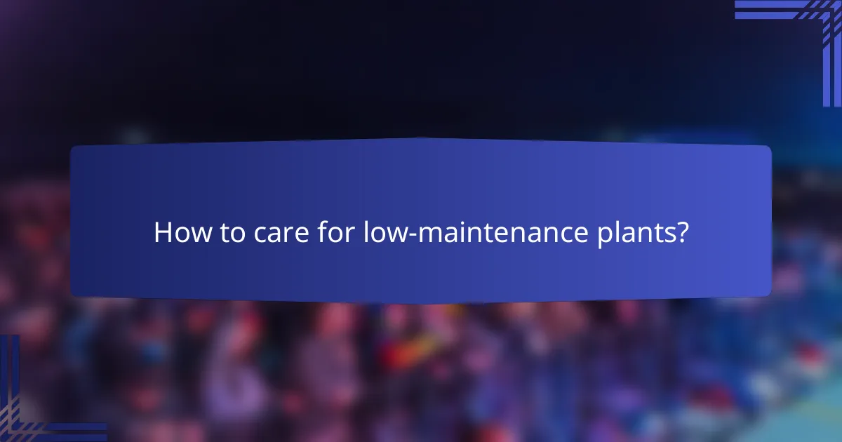 How to care for low-maintenance plants?