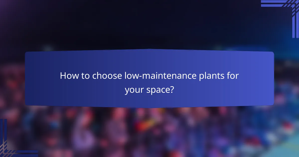 How to choose low-maintenance plants for your space?