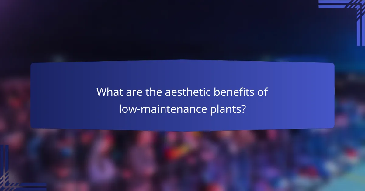 What are the aesthetic benefits of low-maintenance plants?